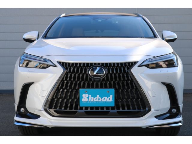 TOYOTA LEXUS NX350h AWD 2023
