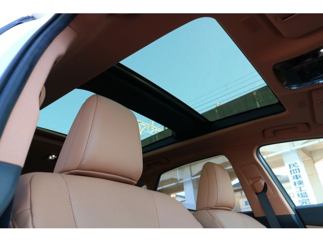 TOYOTA LEXUS NX350h AWD 2023