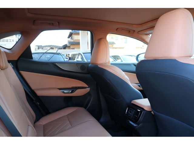 TOYOTA LEXUS NX350h AWD 2023