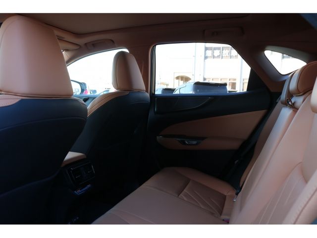 TOYOTA LEXUS NX350h AWD 2023