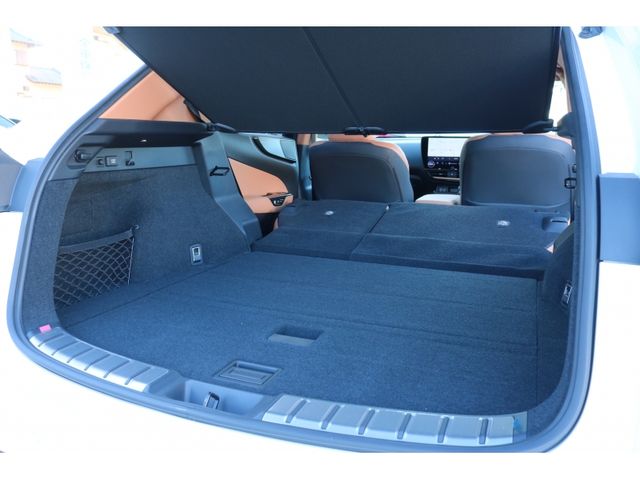 TOYOTA LEXUS NX350h AWD 2023