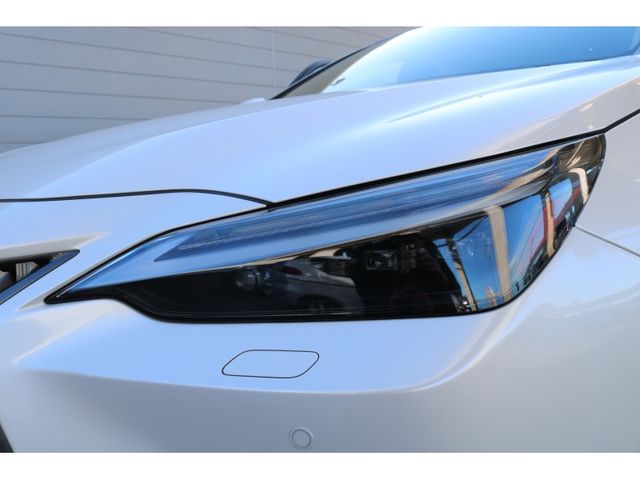 TOYOTA LEXUS NX350h AWD 2023