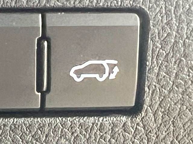 TOYOTA LEXUS NX300h AWD 2020