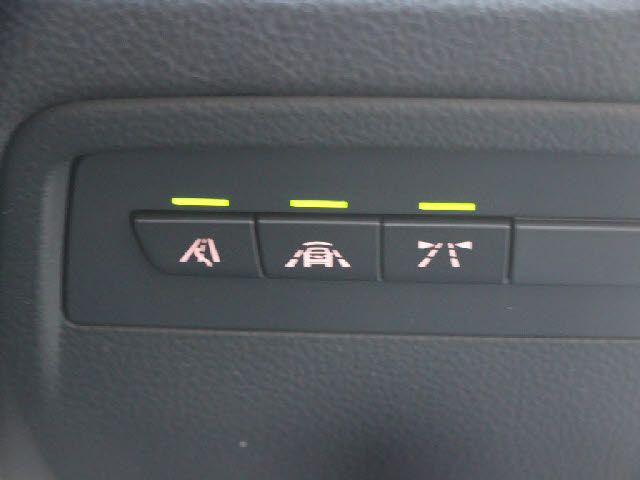 BMW BMW 3series GRAN TURISMO 2017