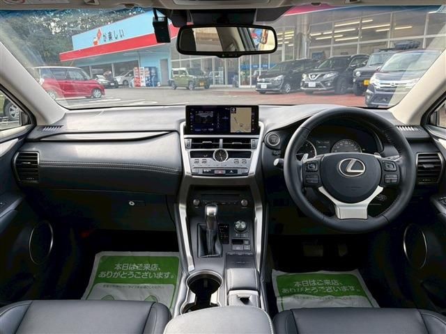 TOYOTA LEXUS NX300 2018