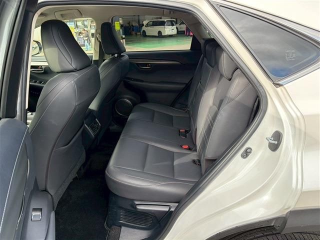 TOYOTA LEXUS NX300 2018