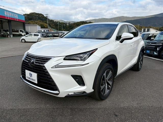 TOYOTA LEXUS NX300 2018