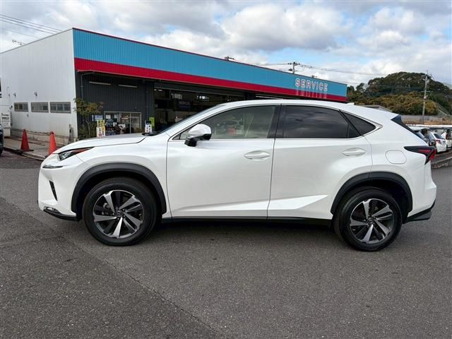 TOYOTA LEXUS NX300 2018