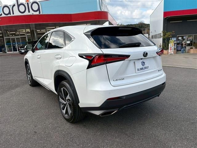 TOYOTA LEXUS NX300 2018