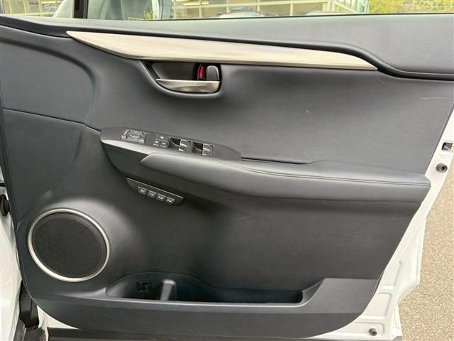 TOYOTA LEXUS NX300 2018