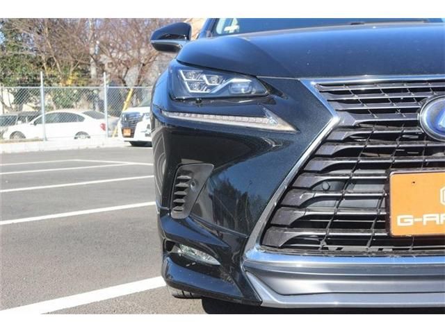TOYOTA LEXUS NX300h 2017