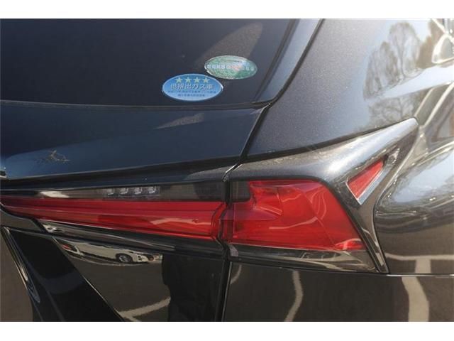 TOYOTA LEXUS NX300h 2017