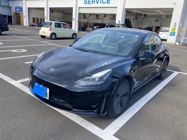 TESLA TESLA MODEL 3 2021