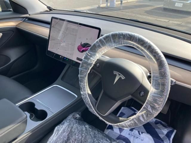 TESLA TESLA MODEL 3 2021