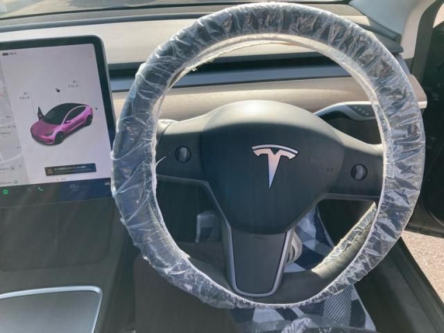 TESLA TESLA MODEL 3 2021