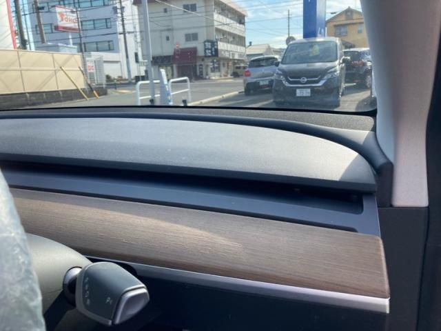 TESLA TESLA MODEL 3 2021