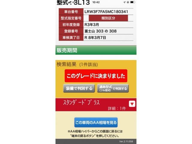 TESLA TESLA MODEL 3 2021