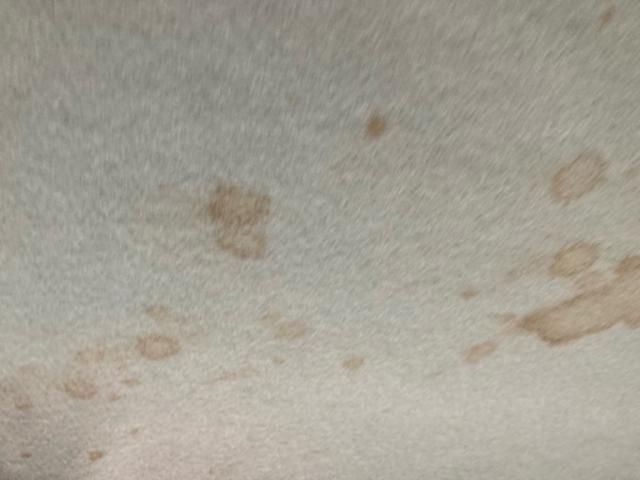 DAIHATSU MIRA Cocoa 2010