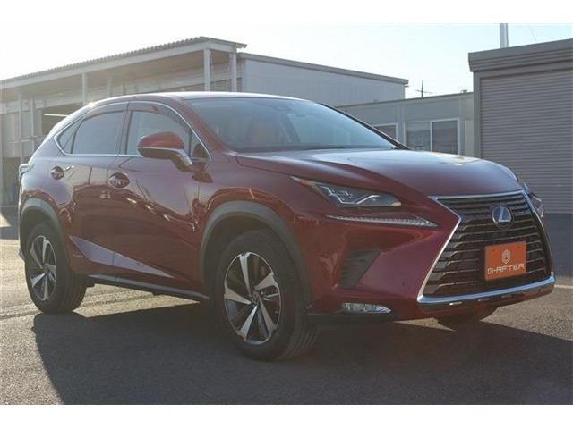 TOYOTA LEXUS NX300h 2020