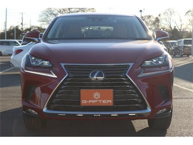 TOYOTA LEXUS NX300h 2020
