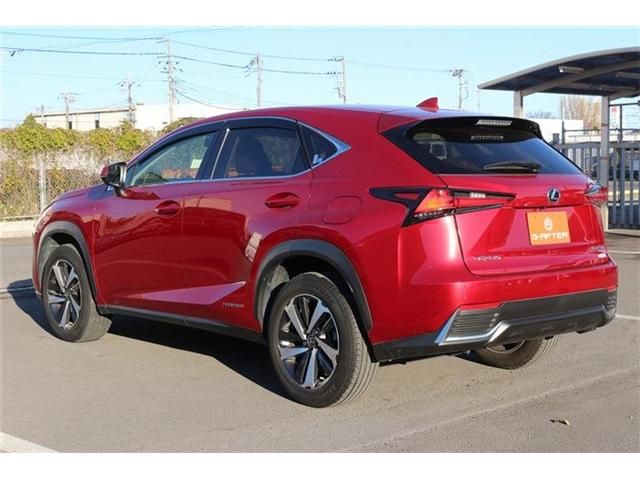 TOYOTA LEXUS NX300h 2020