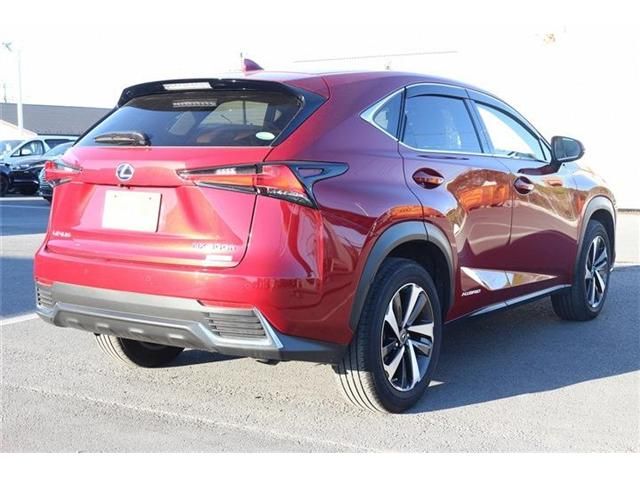 TOYOTA LEXUS NX300h 2020