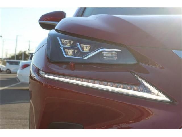 TOYOTA LEXUS NX300h 2020