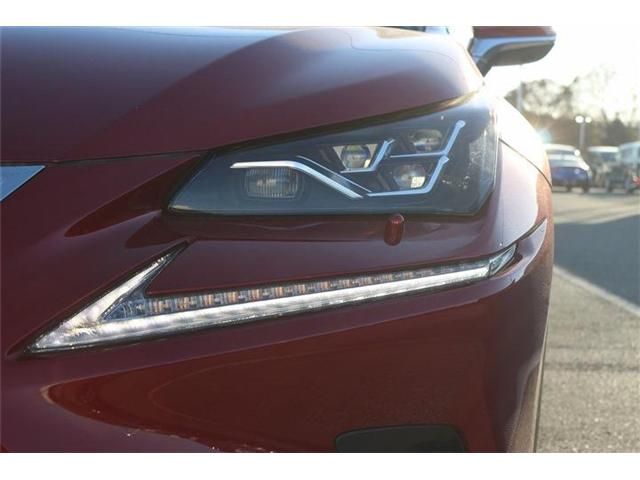 TOYOTA LEXUS NX300h 2020