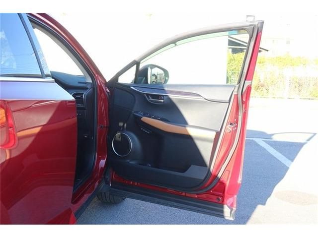 TOYOTA LEXUS NX300h 2020