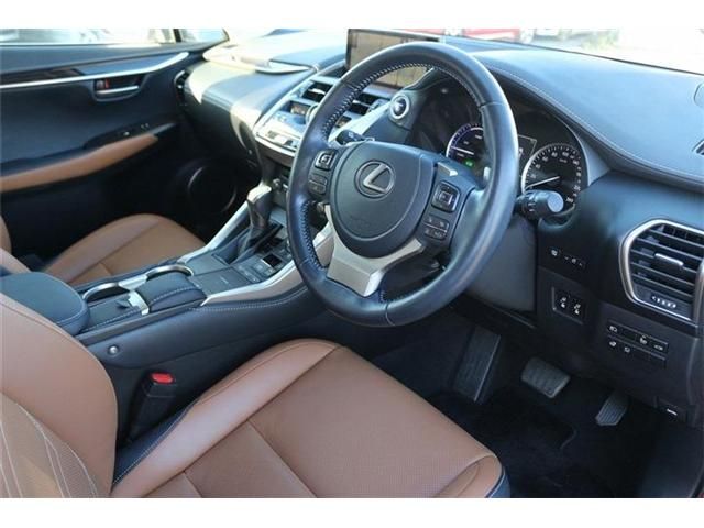 TOYOTA LEXUS NX300h 2020