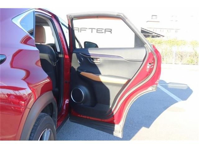 TOYOTA LEXUS NX300h 2020