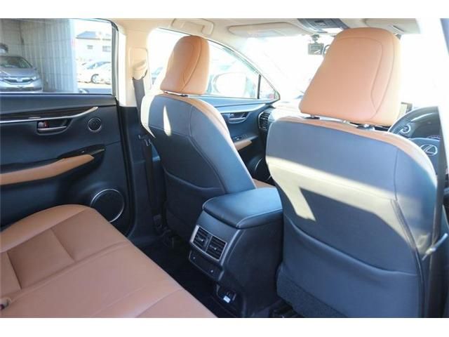 TOYOTA LEXUS NX300h 2020