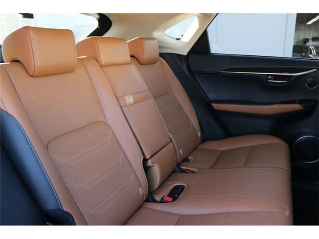 TOYOTA LEXUS NX300h 2020