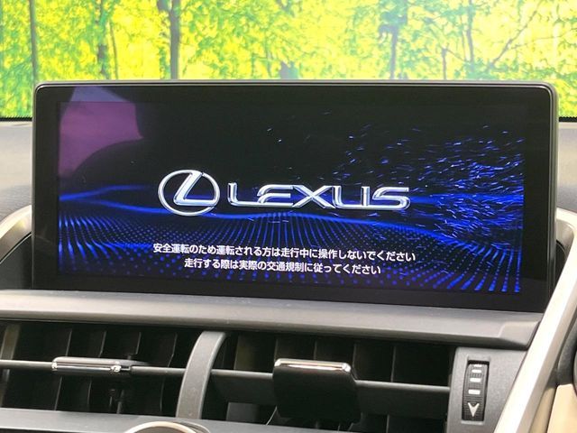 TOYOTA LEXUS NX300h 2019