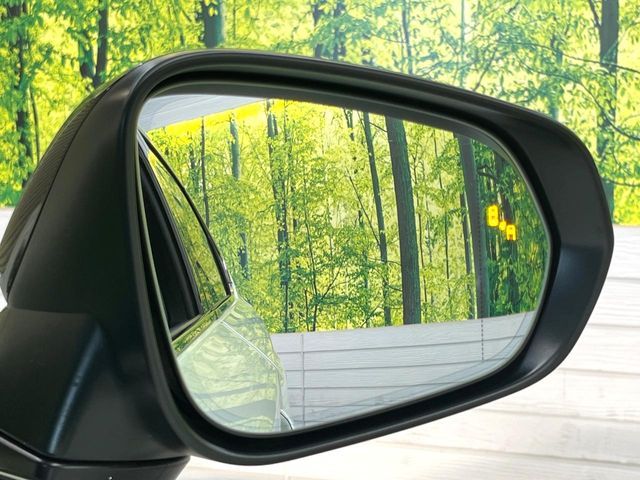 TOYOTA LEXUS NX300h 2019