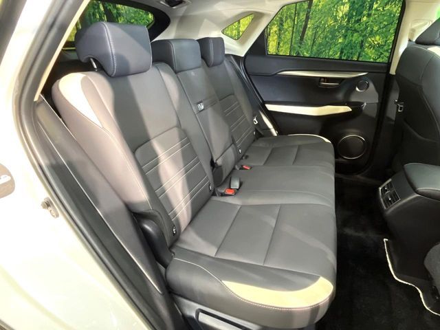 TOYOTA LEXUS NX300h 2019