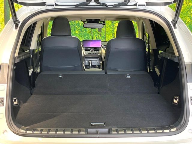 TOYOTA LEXUS NX300h 2019