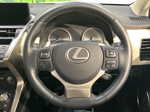 TOYOTA LEXUS NX300h 2019