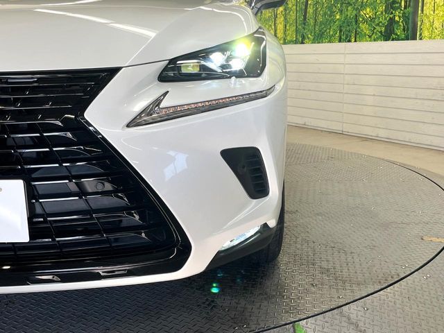 TOYOTA LEXUS NX300h 2019
