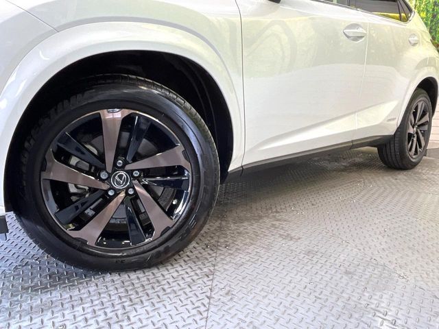 TOYOTA LEXUS NX300h 2019