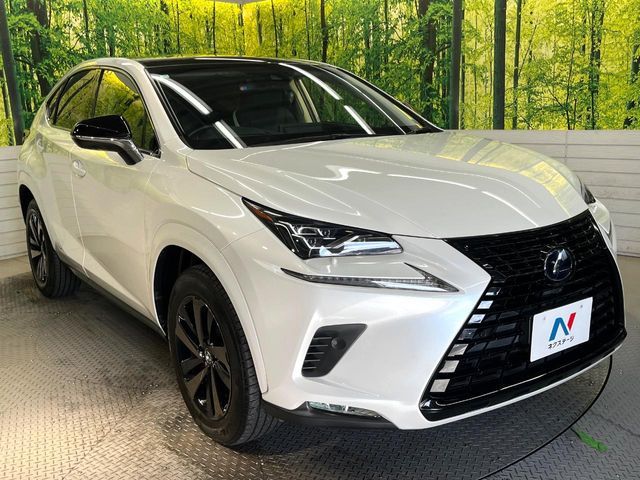 TOYOTA LEXUS NX300h 2019