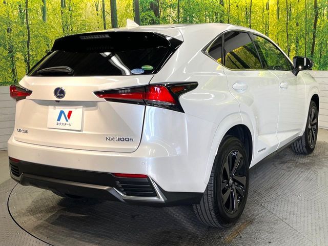 TOYOTA LEXUS NX300h 2019