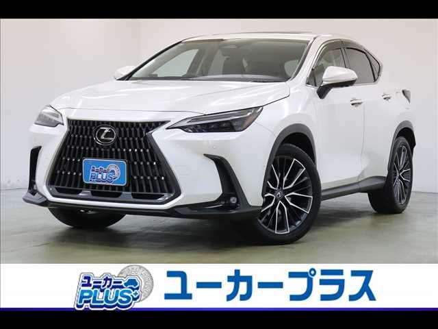 TOYOTA LEXUS NX350h 2023