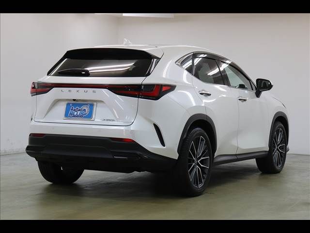 TOYOTA LEXUS NX350h 2023