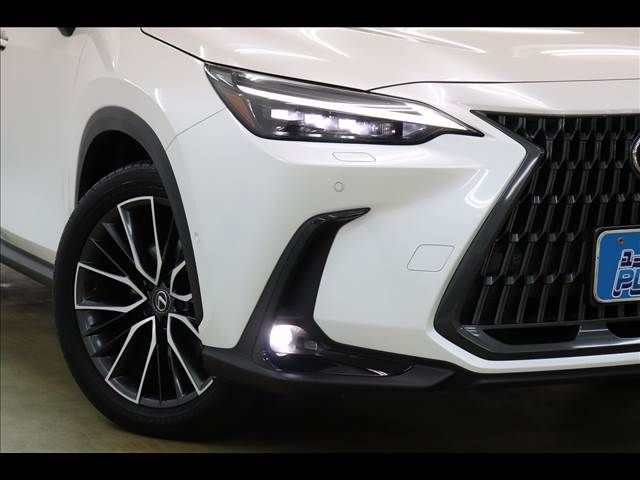 TOYOTA LEXUS NX350h 2023
