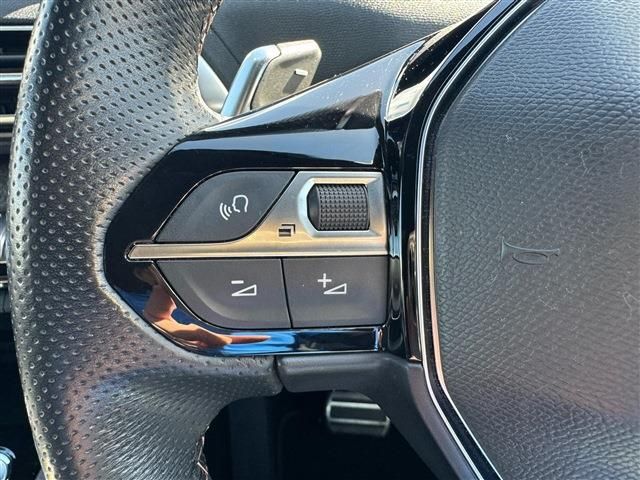 PEUGEOT PEUGEOT 3008 2019