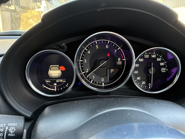 MITSUOKA Rock Star 2021