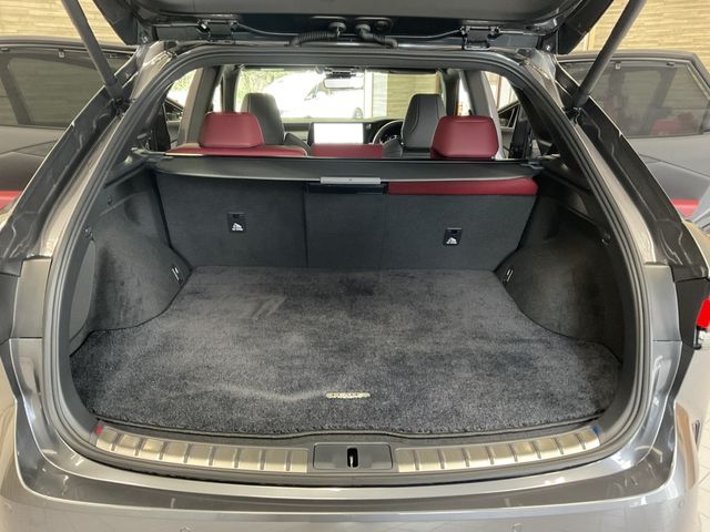 TOYOTA LEXUS RX500h 2024