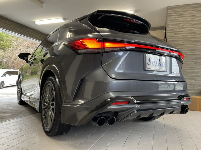 TOYOTA LEXUS RX500h 2024