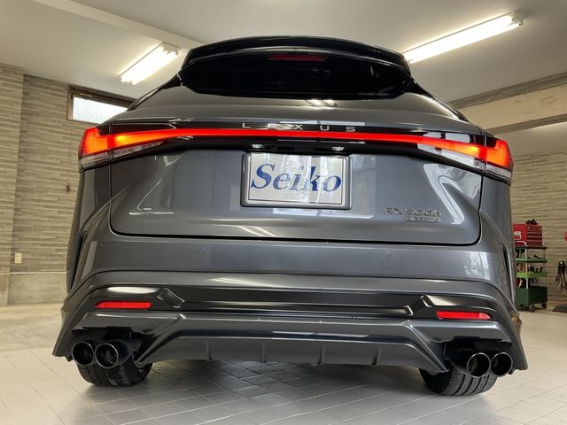 TOYOTA LEXUS RX500h 2024